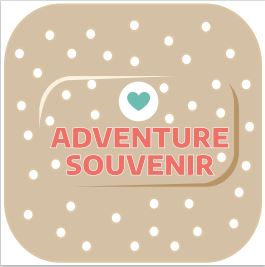 [20960] Adventure souvenir sticker, small